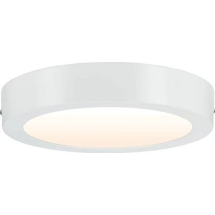 Paulmann 79795 - Φωτιστικό οροφής LED/13W CARPO 230V 2300/2500/3000K