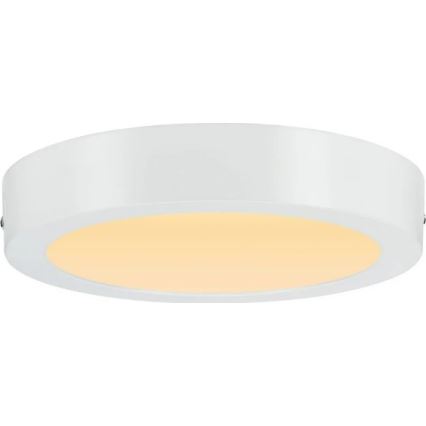 Paulmann 79795 - Φωτιστικό οροφής LED/13W CARPO 230V 2300/2500/3000K