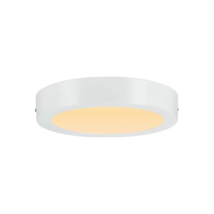 Paulmann 79795 - Φωτιστικό οροφής LED/13W CARPO 230V 2300/2500/3000K