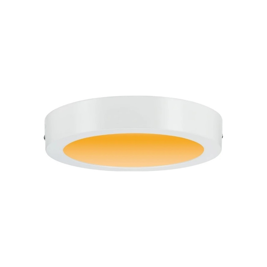 Paulmann 79795 - Φωτιστικό οροφής LED/13W CARPO 230V 2300/2500/3000K