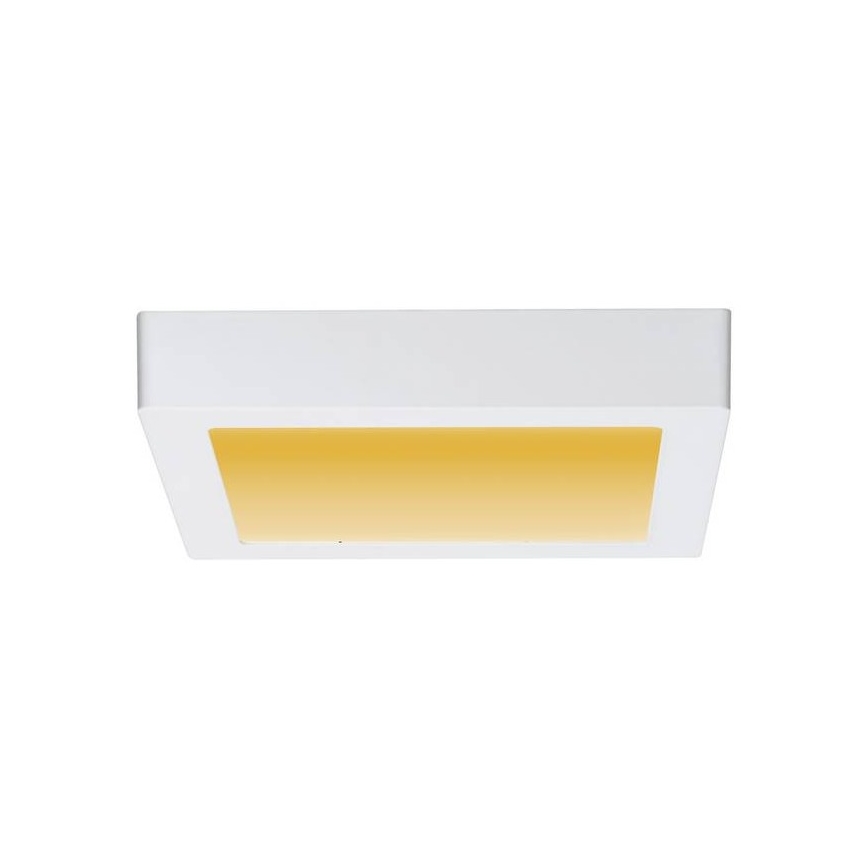 Paulmann 79796 - Φωτιστικό οροφής LED/13W CARPO 230V 2300-3000K