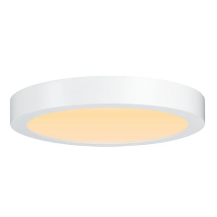 Paulmann 79799 - LED/19W Φωτιστικό οροφής CARPO 230V 2300/2500/3000K