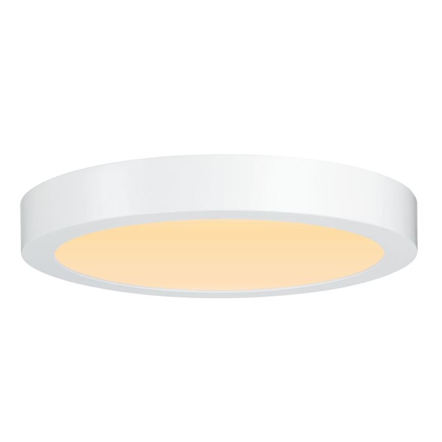 Paulmann 79799 - LED/19W Φωτιστικό οροφής CARPO 230V 2300/2500/3000K