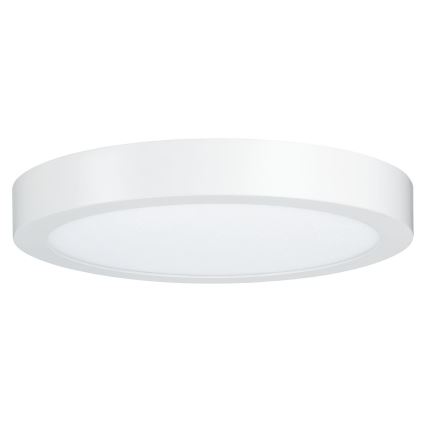 Paulmann 79799 - LED/19W Φωτιστικό οροφής CARPO 230V 2300/2500/3000K