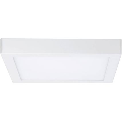 Paulmann 79801 - LED/13W Φωτιστικό οροφής CARPO 230V 2300/2500/3000K