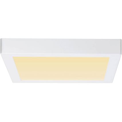 Paulmann 79801 - LED/13W Φωτιστικό οροφής CARPO 230V 2300/2500/3000K