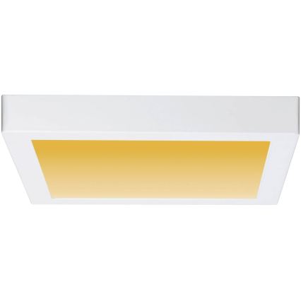 Paulmann 79801 - LED/13W Φωτιστικό οροφής CARPO 230V 2300/2500/3000K