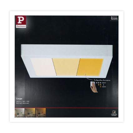 Paulmann 79801 - LED/13W Φωτιστικό οροφής CARPO 230V 2300/2500/3000K