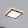 Paulmann 79920 - LED/11,2W Ρυθμιζόμενο πάνελ ATRIA 230V 3000K 19x19 cm μαύρο