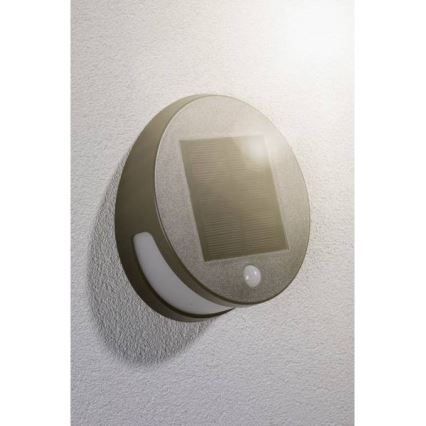 Paulmann 94265 - LED/3W IP44 Εξωτερικό ηλιακό φωτιστικό με αισθητήρα HELENA 3,7V 1800 mAh