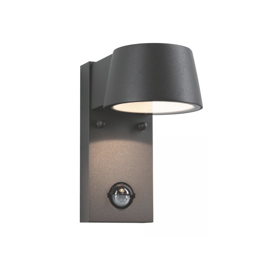 Paulmann 94453 - LED/6W IP44 Επιτοίχιο φωτιστικό εξωτερικού χώρου με αισθητήρα CAPEA 230V