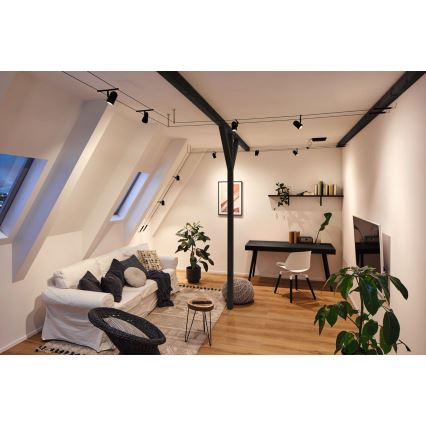 Paulmann 94469 - ΣΕΤ 5xGU5,3/10W Ολοκληρωμένο καλωδιακό σύστημα CUP 230V μαύρο