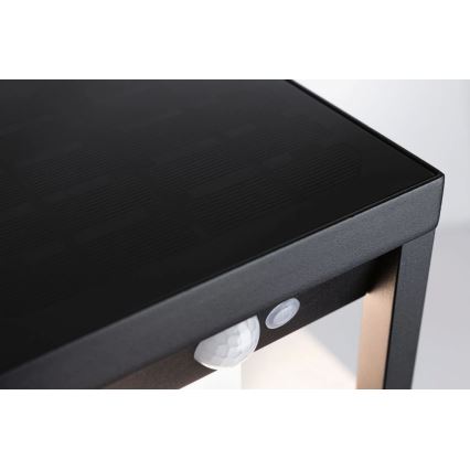 Paulmann 94572 -LED/5,5W IP44 Ηλιακή λάμπα τοίχου με αισθητήρα MARISOL 3,7V 2000 mAh