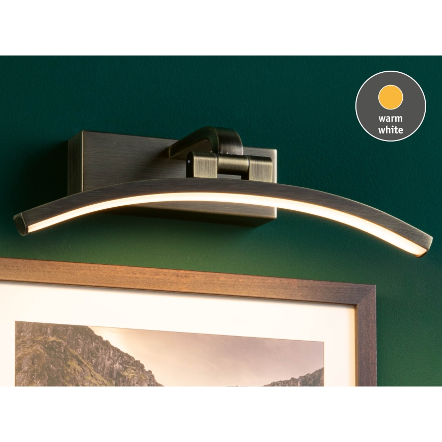 Paulmann 95559 - LED/6W φωτιστικό για πίνακες BENTO 230V 30 cm από ορείχαλκο