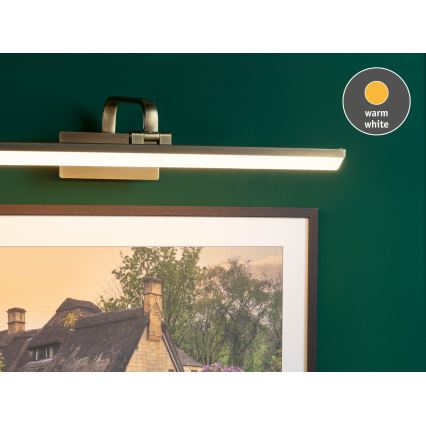 Paulmann 95570 - Φωτιστικό για πίνακες RENAN LED/11W, 230V, 60 cm, ορείχαλκος