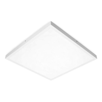 Πάνελ πλαφονιέρα LED BRISBANE LED/36W/230V 4000K 59,5x59,5 cm λευκό