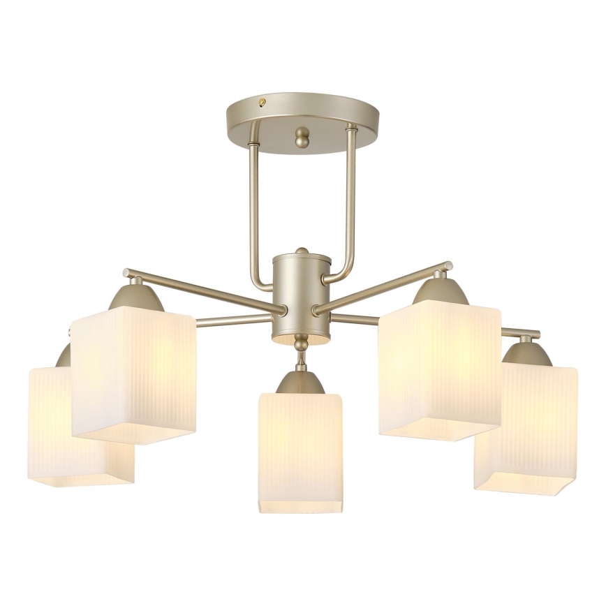 Πλαφονιέρα οροφής 5xE27/60W/230V