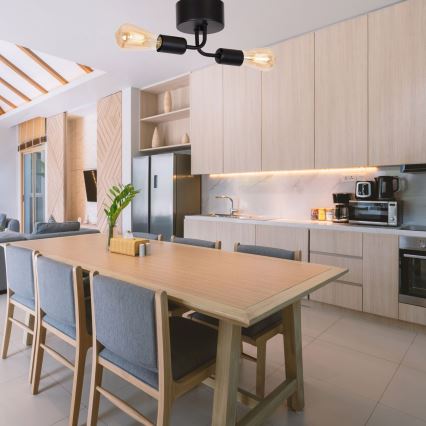 Πλαφονιέρα οροφής BRENDA 2xE27/60W/230V μαύρο