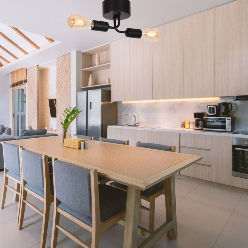 Πλαφονιέρα οροφής BRENDA 2xE27/60W/230V μαύρο