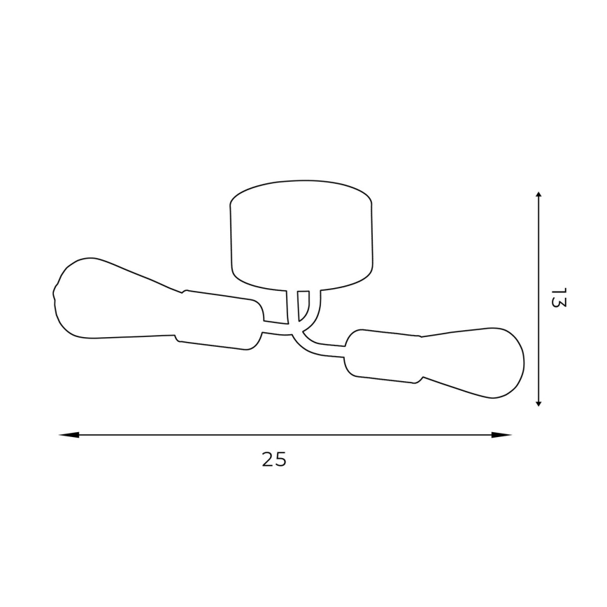 Πλαφονιέρα οροφής BRENDA 2xE27/60W/230V μαύρο