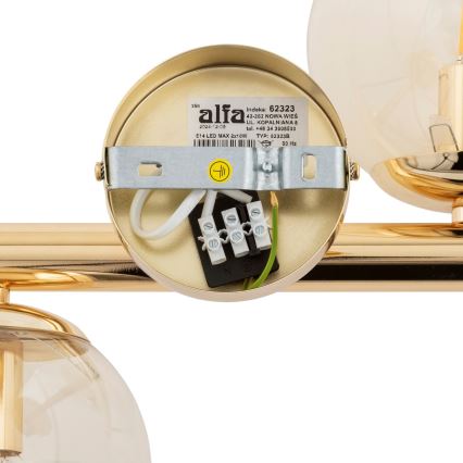 Πλαφονιέρα οροφής ERAL 2xE14/40W/230V