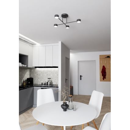 Πλαφονιέρα οροφής HALO 4xGX53/10W/230V μαύρο