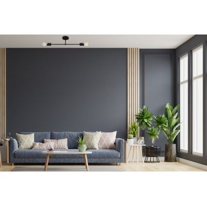 Πλαφονιέρα οροφής πολύφωτο CAMBRIDGE 2xE27/15W/230V μαύρο