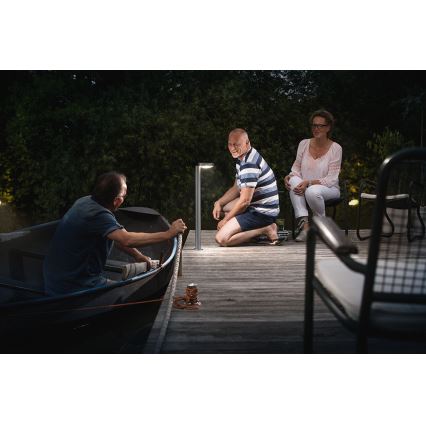 Philips 16493/47/P3 - Λάμπα εξωτερικού χώρου LED COCKATOO LED/8W/230V IP44