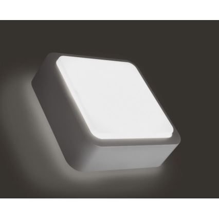 Philips 16913/87/16 - Φως τοίχου εξωτερικού χώρου FLOWERBED 1xGR10Q/16W/230V IP44