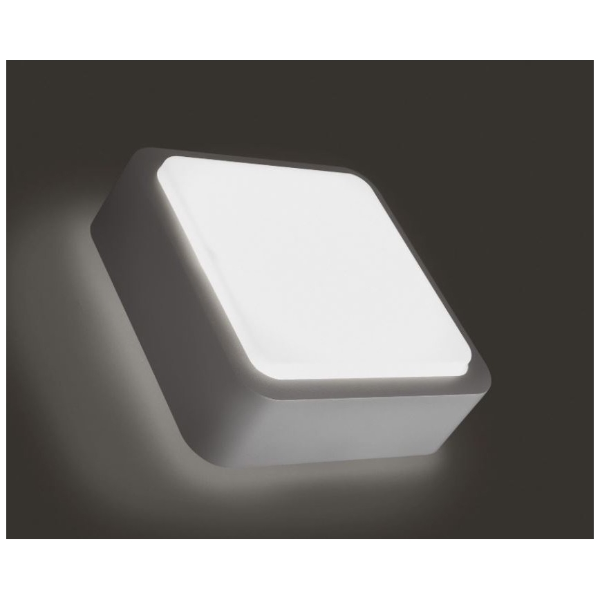 Philips 16913/87/16 - Φως τοίχου εξωτερικού χώρου FLOWERBED 1xGR10Q/16W/230V IP44