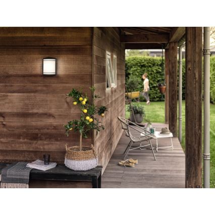 Philips - Επιτοίχιο φωτιστικό εξωτερικού χώρου LED/6W/230V IP44