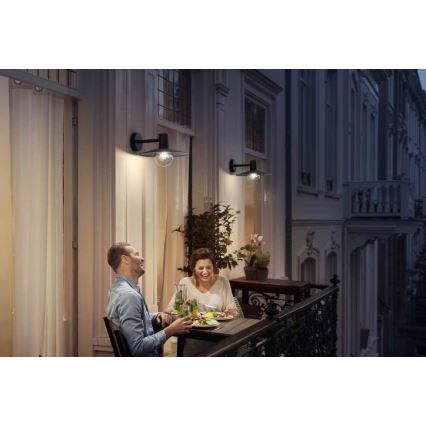 Philips - Φως εξωτερικού χώρου 1xE27/42W/230V IP44