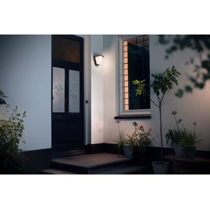 Philips 17383/93/PN - Φως τοίχου εξωτερικού χώρου KISKADEE 1xE27/42W/230V IP44