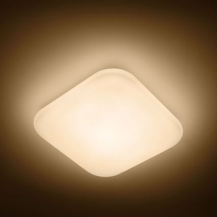 Philips - Φωτιστικό οροφής LED LED/17W/230V 2700K