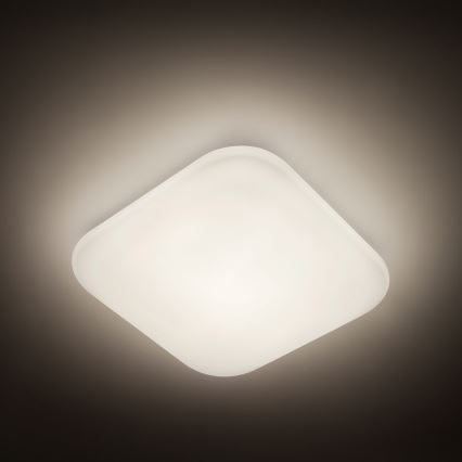 Philips - Φωτιστικό οροφής LED/17W/230V 4000K
