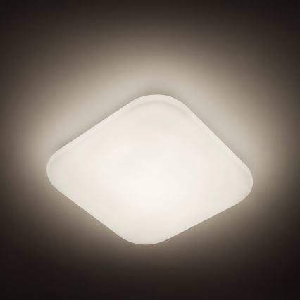 Philips - Φωτιστικό οροφής LED 1xLED/17W/230V 4,000K