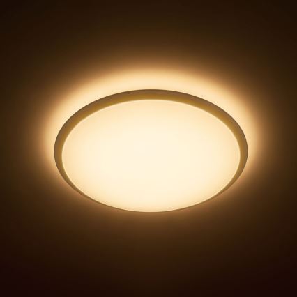 Philips 31821/31/P5 - Φωτιστικό οροφής LED 1xLED/17W/230V