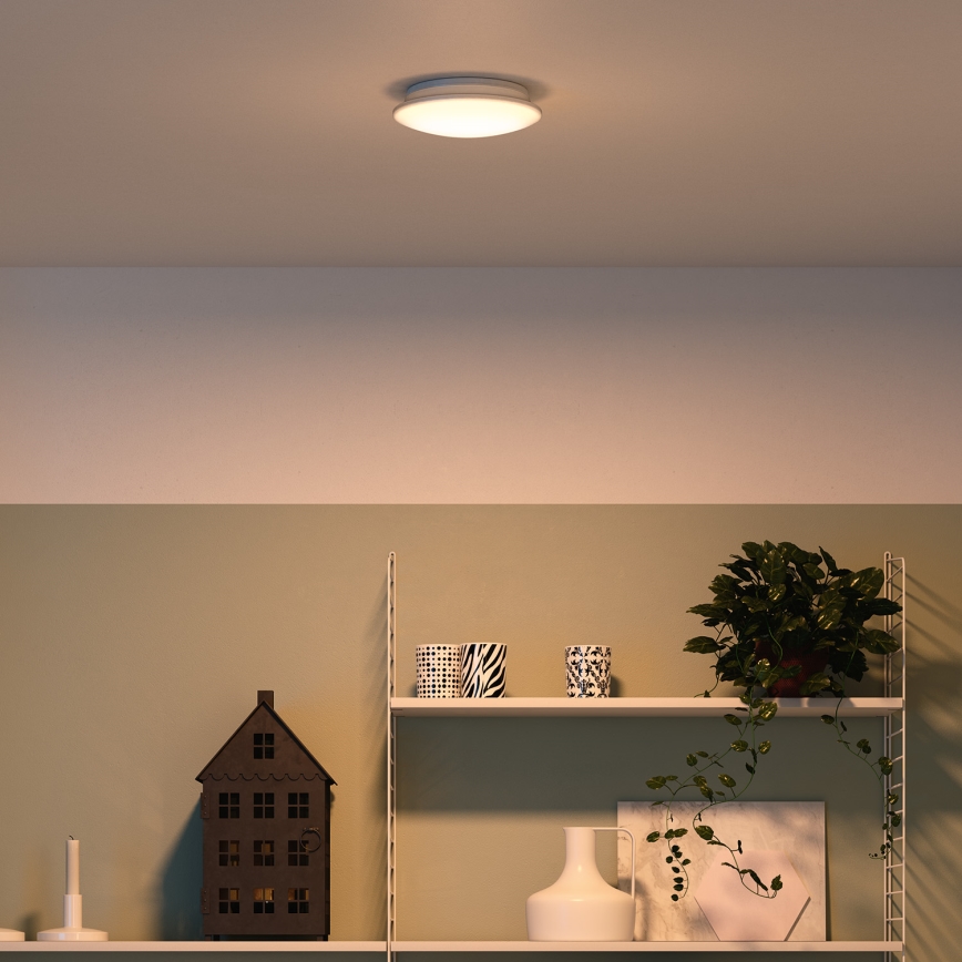 Philips - Οροφιαίο φωτιστικό LED/10W/230V