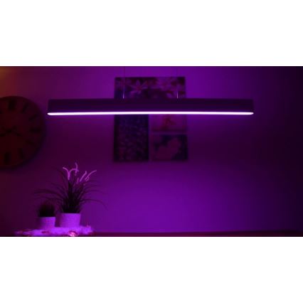 Philips -  LED RGBW Πολύφωτο dimming με συρματόσχοινο Hue ENSIS White And Color Ambiance 2xLED/39W/230V