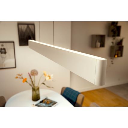 Philips - LED RGBW Πολύφωτο dimming με συρματόσχοινο Hue ENSIS White And Color Ambiance 2xLED/39W/230V