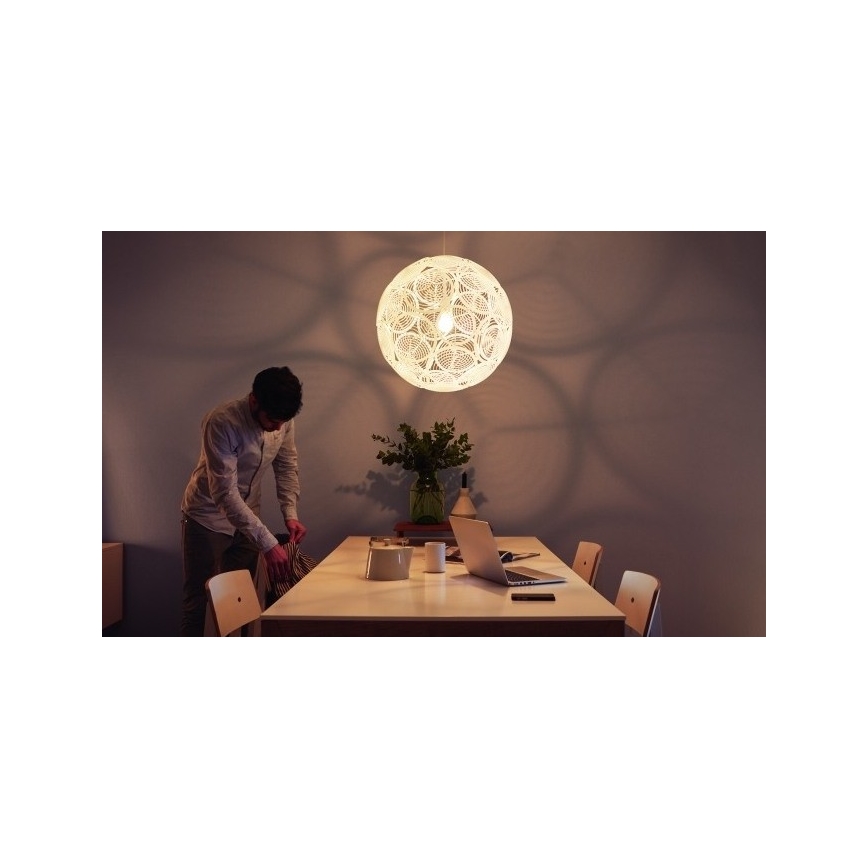 Philips - Κρεμαστό φως οροφής E27/60W/230V