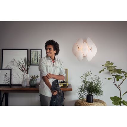 Philips 40963/31/PN - Φως τοίχου MYLIVING CHIFFON 1xE27/60W/230V