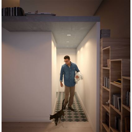 Philips  50393/11/P0 - ΣΕΤ 3x Κρεμαστό φως οροφής dimmer LED SHELLBARK LED/4,5W/230V