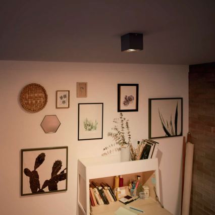 Philips - LED Ρυθμιζόμενο σποτ φωτιστικό LED/4,5W/230V