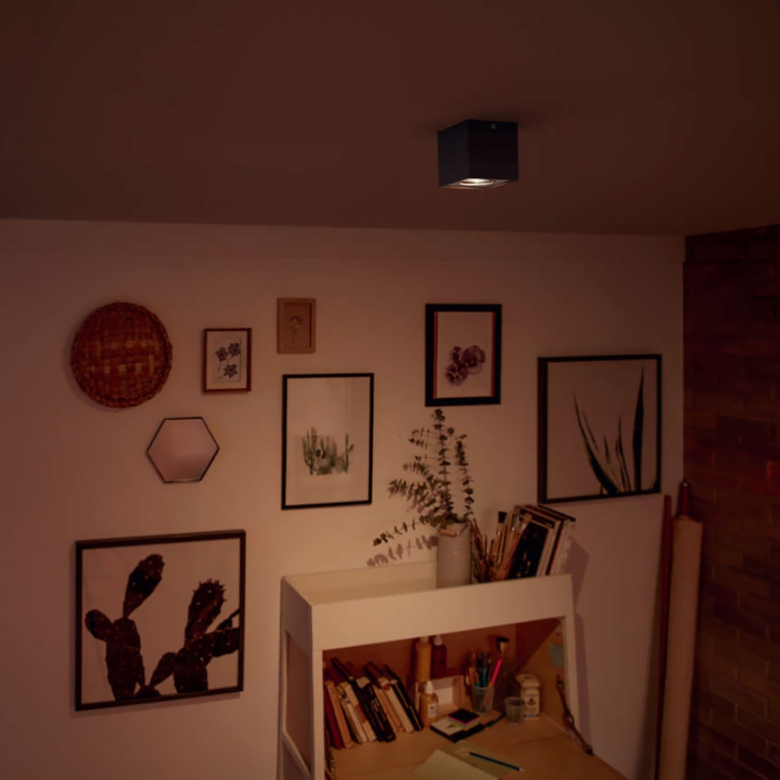 Philips - LED Ρυθμιζόμενο σποτ φωτιστικό LED/4,5W/230V