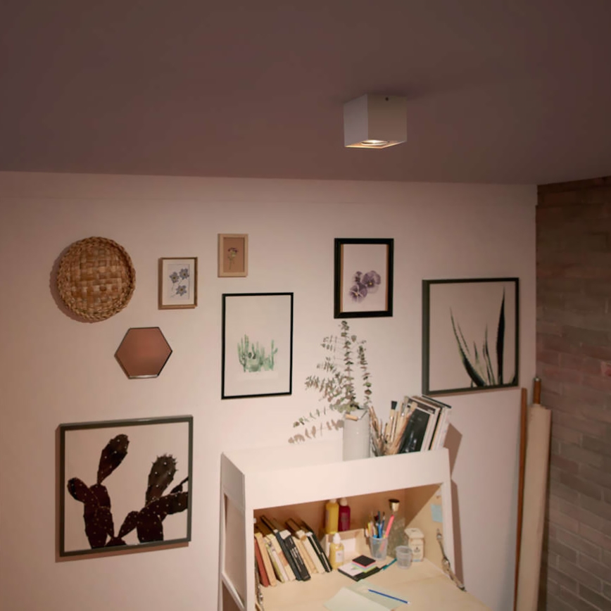 Philips - Ρυθμιζόμενο LED σποτ φωτιστικό LED/4,5W/230V