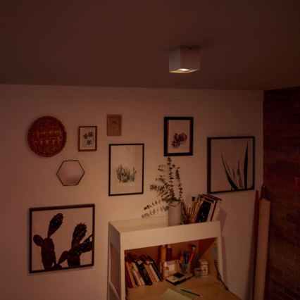 Philips - Ρυθμιζόμενο LED σποτ φωτιστικό LED/4,5W/230V