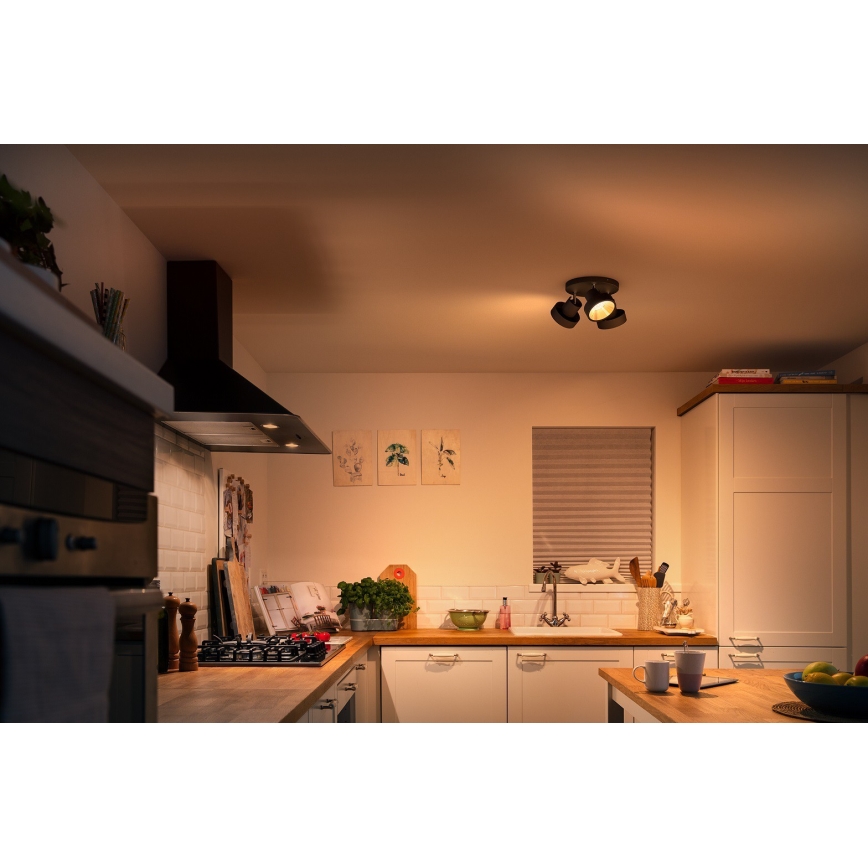Philips 50603/30/P0 - LED Dimmable σποτ BUKKO 3xLED/4,3W/230V