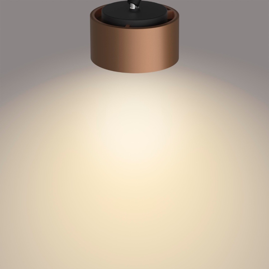 Philips 50653/05/P0 - Φως σποτ LED FERANO 3xLED/4,3W/230V