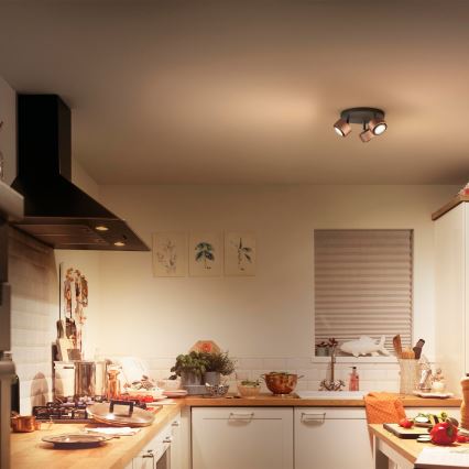Philips 50653/05/P0 - Φως σποτ LED FERANO 3xLED/4,3W/230V